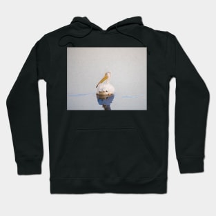 Quiet Alone Time Hoodie